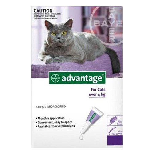 Advantage Cats Over 10lbs (purple) 12 Doses