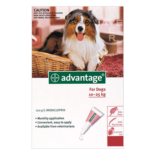 Advantage Large Dogs 21-55lbs (red) 12 Doses