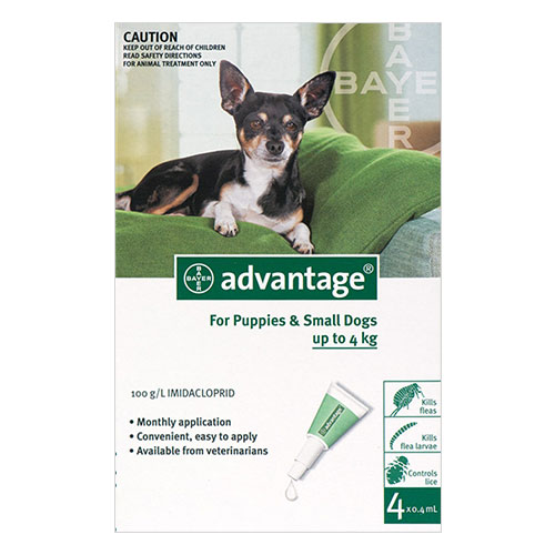 Advantage Small Dogs/ Pups 1-10lbs (green) 6 Doses