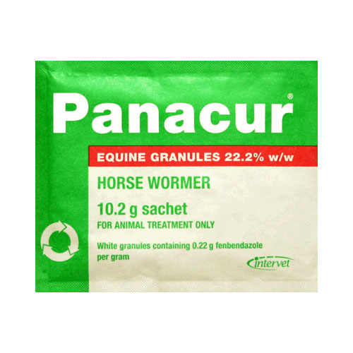 Panacur Equine Granules Single Sachet 10gm 10 Sachet