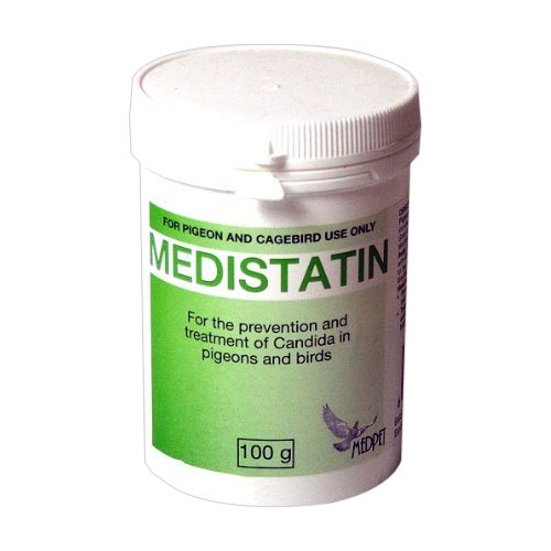 Medistatin Powder 100 Gm 1 Pack