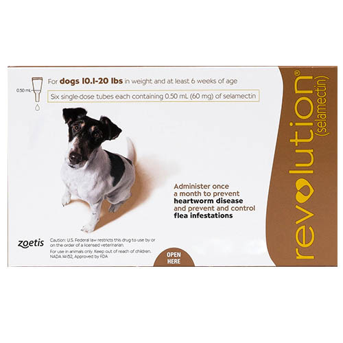 Revolution For Small Dogs 10.1 - 20lbs (brown) 12 Doses