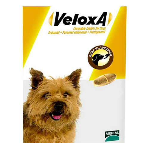 Veloxa Tablets For Small/medium Dogs Up To 10 Kg 2 Tablet