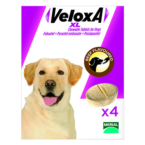 Veloxa Xl Tablets For Large Dogs Up To 35 Kg 8 Tablet