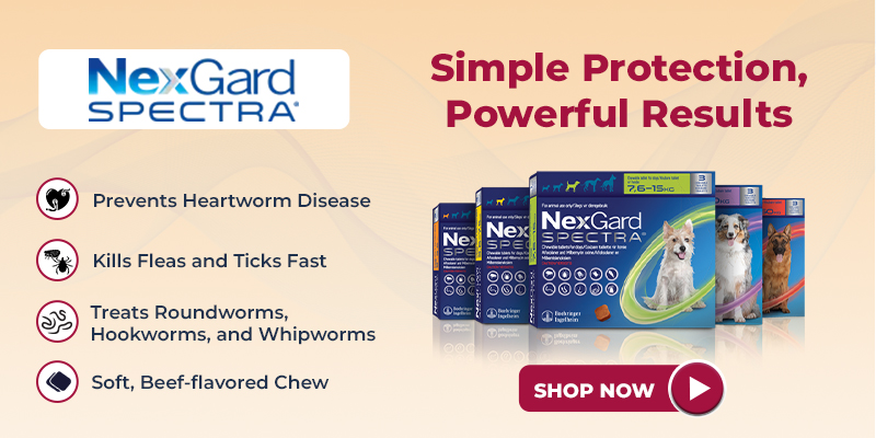 Nexgard Spectra Chewabls for Dogs